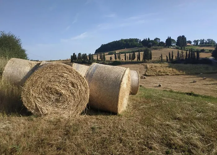 לינה וארוחת בוקר Cuore Toscano קולסלווטי