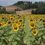 Alojamento de Acomodação e Pequeno-almoço Cuore Toscano Collesalvetti