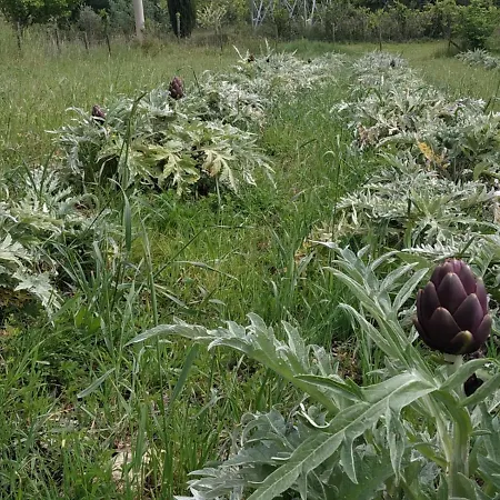 Bed & Breakfast Cuore Toscano *
