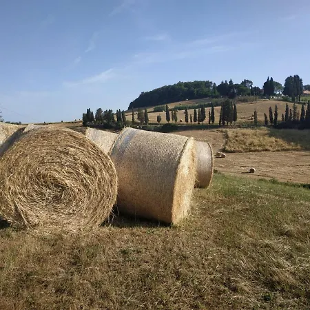 Bed & Breakfast Cuore Toscano Collesalvetti