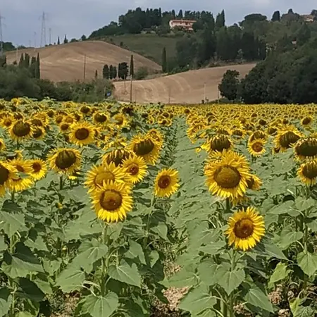 Bed & Breakfast Cuore Toscano Collesalvetti